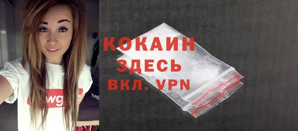 a pvp Пересвет