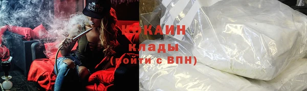 a pvp Пересвет