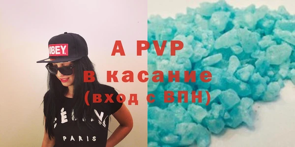 a pvp Пересвет
